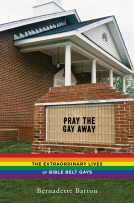 book cover for Pray the Gay Away
