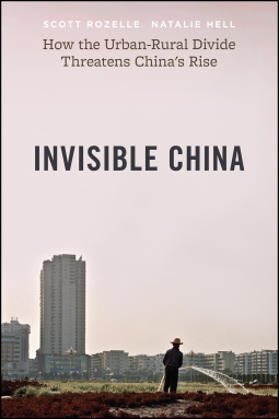 book cover for Invisible China