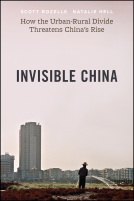 book cover for Invisible China