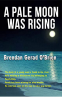 Cover Image: A Pale Moon Was Rising