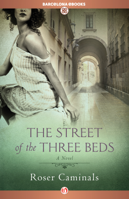 book cover for The Street of the Three Beds