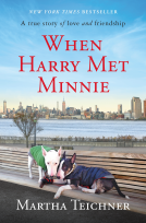 book cover for When Harry Met Minnie