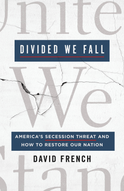 book cover for Divided We Fall