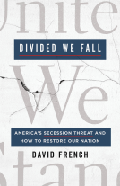 book cover for Divided We Fall