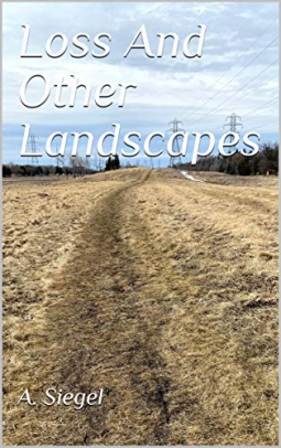 book cover for Loss And Other Landscapes