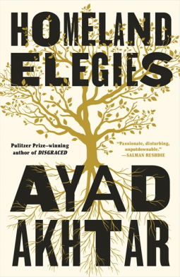 book cover for Homeland Elegies