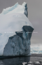 Cover Image: Blizzard
