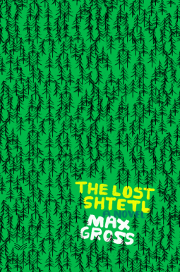 book cover for The Lost Shtetl