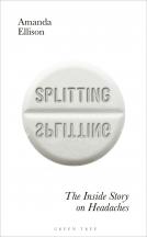 book cover for Splitting