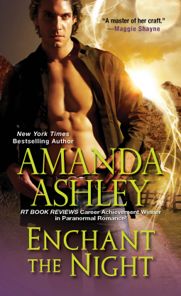 book cover for Enchant the Night