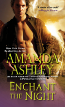 book cover for Enchant the Night