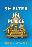 book cover for Shelter in Place