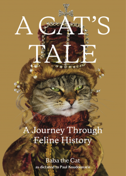 book cover for A Cat's Tale