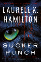 book cover for Sucker Punch