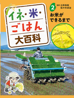 イネ・米・ごはん大百科　２　お米ができるまで 表紙