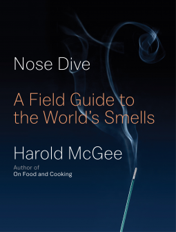 book cover for Nose Dive