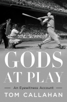 book cover for Gods at Play