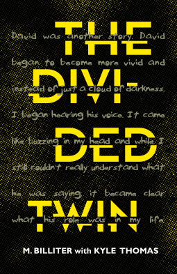 book cover for The Divided Twin