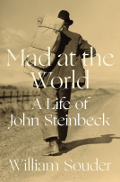 book cover for Mad at the World
