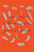 book cover for Not a Novel