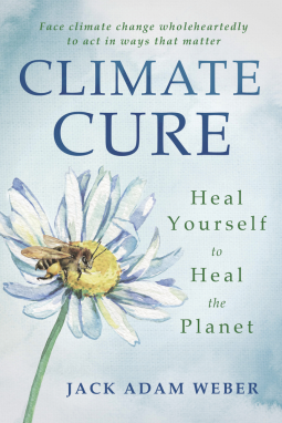 book cover for Climate Cure
