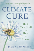 book cover for Climate Cure