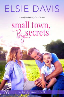 book cover for Small Town, Big Secrets