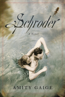 book cover for Schroder