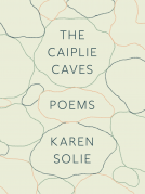 book cover for The Caiplie Caves