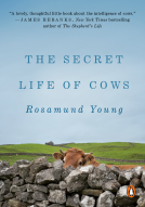 book cover for The Secret Life of Cows