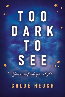 book cover for Too Dark to See