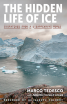 book cover for The Hidden Life of Ice