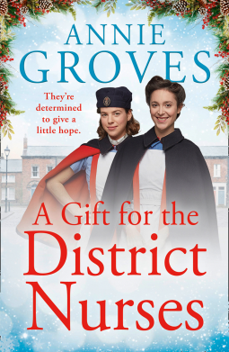 book cover for A Gift for the District Nurses
