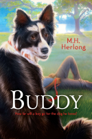 book cover for Buddy