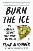 book cover for Burn the Ice