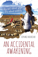book cover for An Accidental Awakening