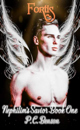 book cover for Fortis: A New Adult Urban Fantasy Romance Series