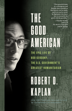 book cover for The Good American