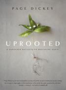 book cover for Uprooted