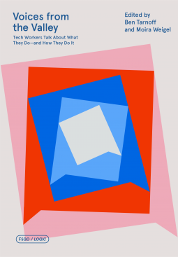 book cover for Voices from the Valley