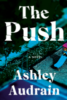 book cover for The Push