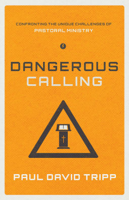 book cover for Dangerous Calling