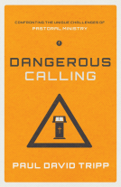 book cover for Dangerous Calling