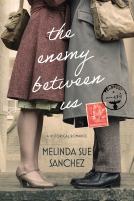 book cover for The Enemy Between Us