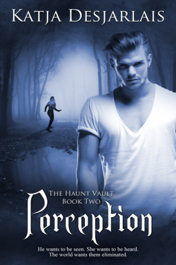 book cover for Perception