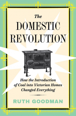 book cover for The Domestic Revolution