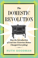 book cover for The Domestic Revolution