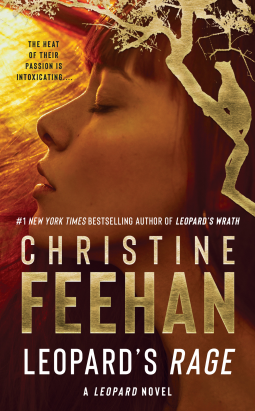 book cover for Leopard's Rage