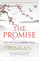 book cover for The Promise
