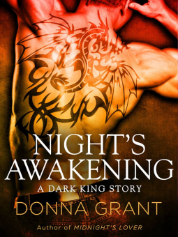 book cover for Night's Awakening
